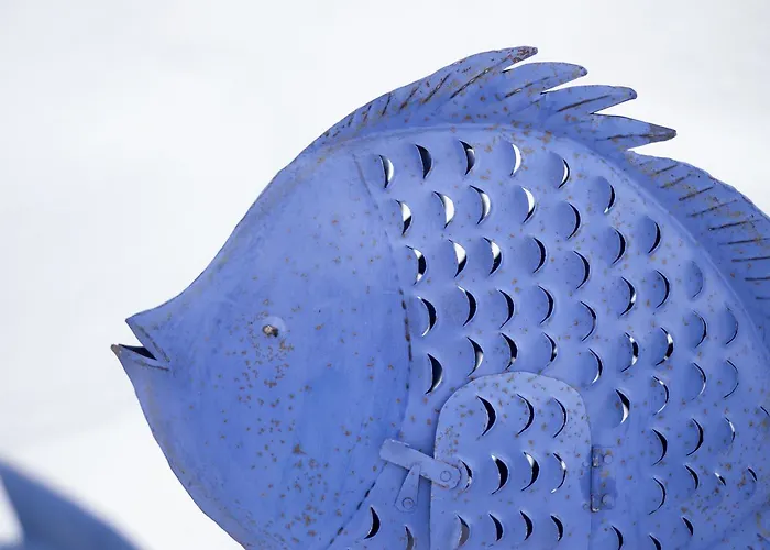 Hotel Ca S'arader Turismo De Interior